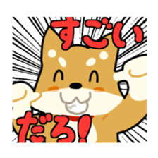 sibainu dog  Sticker sticker #4042657