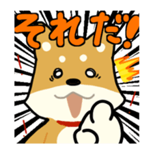 sibainu dog Sticker sticker #4042659