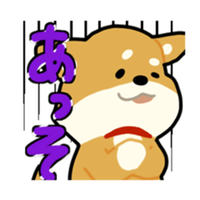 sibainu dog  Sticker sticker #4042666