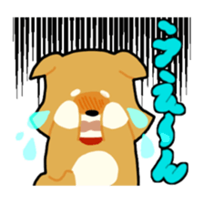 sibainu dog  Sticker sticker #4042668