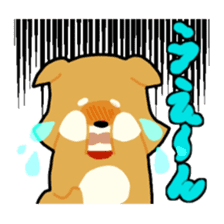 sibainu dog Sticker sticker #4042668