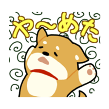 sibainu dog  Sticker sticker #4042671