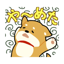 sibainu dog Sticker sticker #4042671