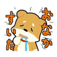 sibainu dog Sticker sticker #4042672