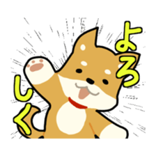 sibainu dog  Sticker sticker #4042673