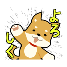 sibainu dog Sticker sticker #4042673