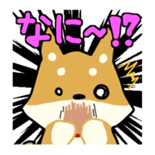 sibainu dog Sticker sticker #4042677