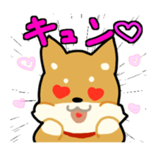 sibainu dog Sticker sticker #4042678