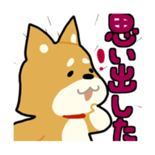 sibainu dog  Sticker sticker #4042681