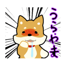 sibainu dog  Sticker sticker #4042683