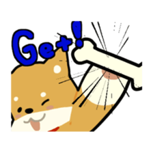 sibainu dog  Sticker sticker #4042684