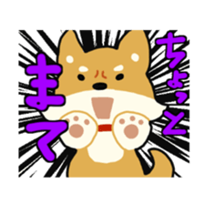 sibainu dog  Sticker sticker #4042685