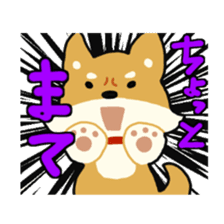 sibainu dog Sticker sticker #4042685
