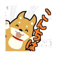 sibainu dog  Sticker sticker #4042688