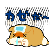 sibainu dog Sticker sticker #4042689