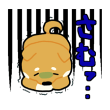 sibainu dog  Sticker sticker #4042690