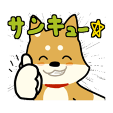 sibainu dog  Sticker sticker #4042692