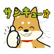 sibainu dog Sticker sticker #4042692