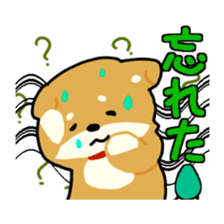 sibainu dog Sticker sticker #4042693