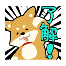 sibainu dog  Sticker sticker #4042695