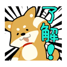 sibainu dog Sticker sticker #4042695