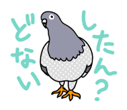 Pigeon Life sticker #4045665
