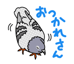 Pigeon Life sticker #4045671