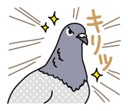 Pigeon Life sticker #4045682