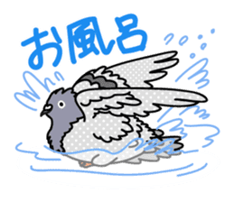 Pigeon Life sticker #4045690