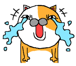 This is Cat. sticker #4046247