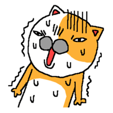 This is Cat. sticker #4046252