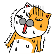 This is Cat. sticker #4046252