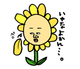 Bad picture sticker #4049067