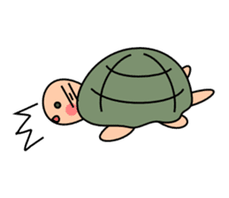 Simple turtle sticker #4049714