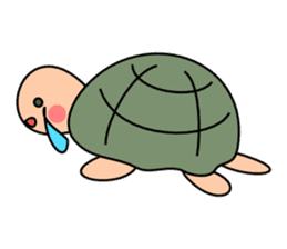 Simple turtle sticker #4049723