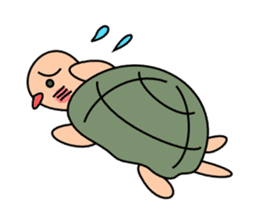 Simple turtle sticker #4049738