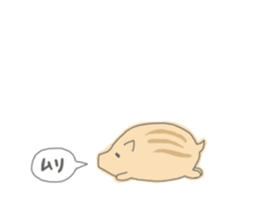 Baby of disgruntled boar sticker #4051037