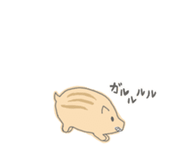 Baby of disgruntled boar sticker #4051050