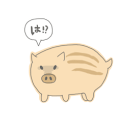 Baby of disgruntled boar sticker #4051059