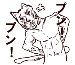 FREEDOM CAT,NEKO-OSSAN sticker #4053054