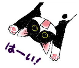 Black and white CATS 2 sticker #4053684