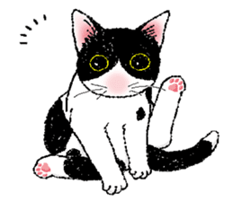 Black and white CATS 2 sticker #4053687