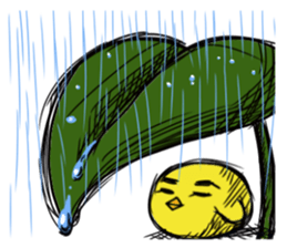 Chick of a thick face sticker #4055729