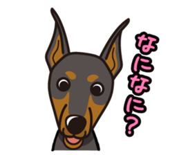 iinu - Doberman sticker #4056256