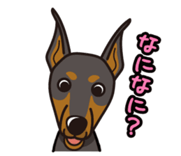 iinu - Doberman sticker #4056256