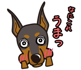 iinu - Doberman sticker #4056262