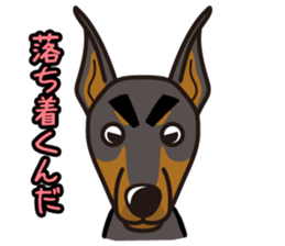 iinu - Doberman sticker #4056264