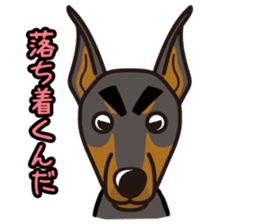 iinu - Doberman sticker #4056264