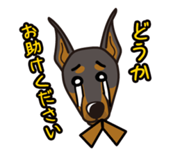 iinu - Doberman sticker #4056266