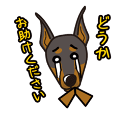 iinu - Doberman sticker #4056266